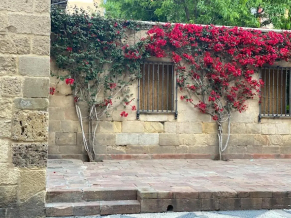 La Manquita Apartment Màlaga Španělsko